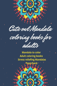 Cute owl Mandala coloring books for adults