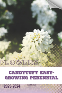 Candytuft Easy-Growing Perennial
