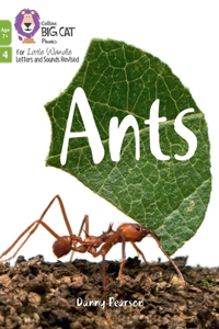 Ants