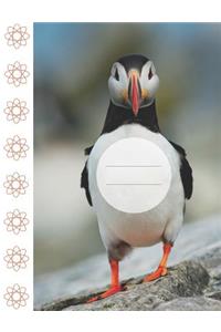 Puffin Belly Notebook