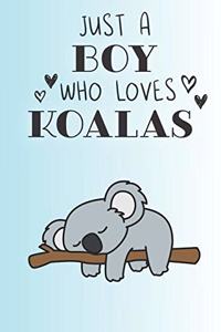 Just A Boy Who Loves Koalas