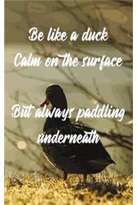 Be Like a Duck Calm on the Surface But Always Paddling Underneath