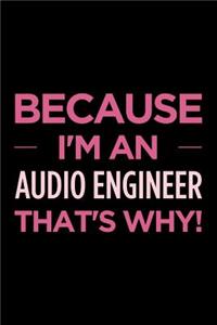 Because I'm an Audio Engineer That's Why