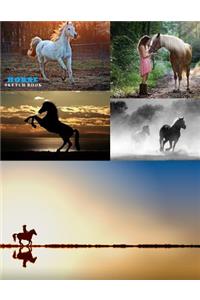 Horse Sketch Book