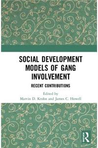 Social Development Models of Gang Involvement