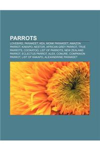 Parrots: Lovebird, Parakeet, Kea, Monk Parakeet, Amazon Parrot, Kakapo, Nestor, African Grey Parrot, True Parrots, Cockatoo, Li