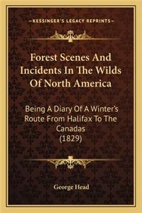 Forest Scenes and Incidents in the Wilds of North America