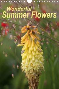 Wonderful Summer Flowers 2016