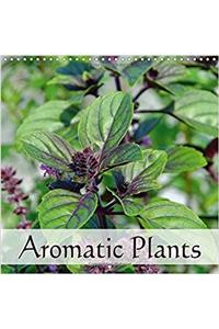 Aromatic Plants 2017