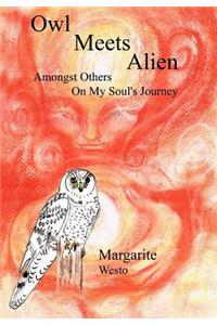 Owl Meets Alien