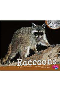 Raccoons