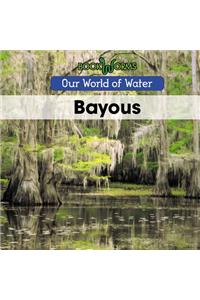 Bayous