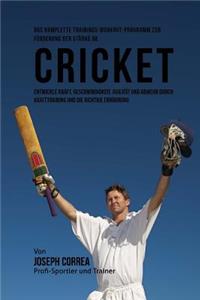 Das komplette Trainings-Workout-Programm zur Forderung der Starke im Cricket