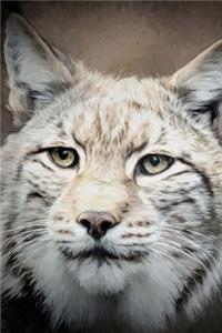 An Awesome Close-Up Portrait of a Lynx Wildcat Journal