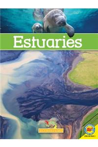 Estuaries