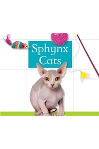 Sphynx Cats