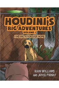 Houdini's Big Adventures
