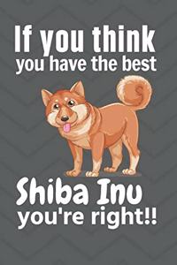 If you think you have the best Shiba Inu you're right!!