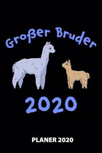 Großer Bruder 2020 Planer 2020