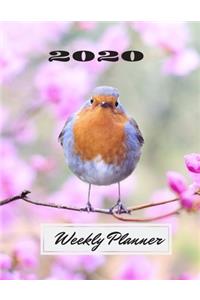 Weekly Planner 2020