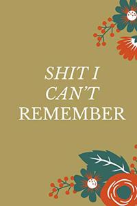 Shit I Can't Remember