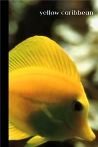Yellow Caribbean