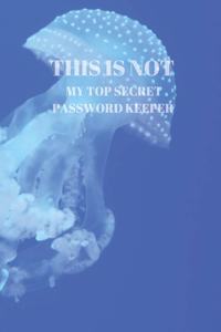 This Is Not My Top Secret Password Keeper