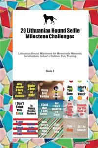 20 Lithuanian Hound Selfie Milestone Challenges