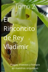 Rinconcito de Rey Vladimir
