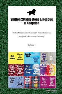 Shiffon 20 Milestones