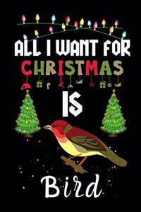 All I Want For Christmas Is Bird