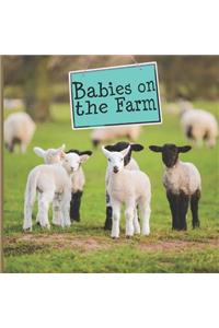 Babies on the Farm