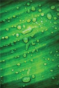 Dew Leaf Journal