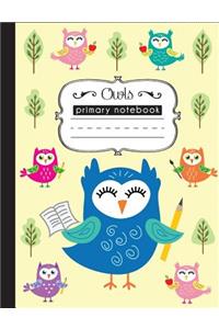Owls Primary Notebook