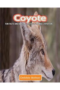 Coyote: Fun Facts and Amazing Photos of Animals in Nature