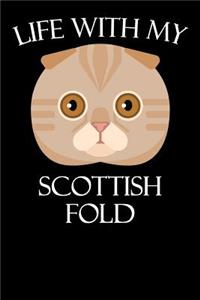 Life with My Scottish Fold