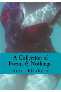 Collection of Poems & Nothings.: A Collection Of Poems, Nothings, and Short Stories. Mix Matched with Illustrations.