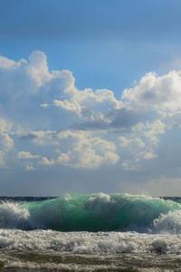 Waves Notebook