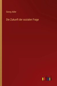 Die Zukunft der sozialen Frage