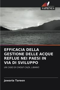 Efficacia Della Gestione Delle Acque Reflue Nei Paesi in Via Di Sviluppo