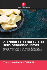 A produção de cacau e os seus condicionalismos