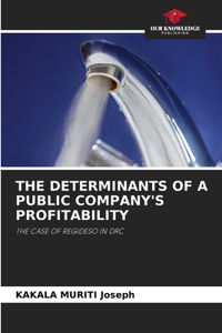 Determinants of a Public Company's Profitability