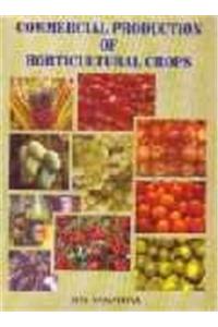Commercial production of horticultural crops