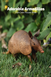 Adorable Armadillos Full-Color Picture Book