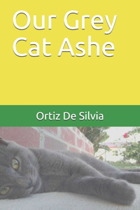 Our Grey Cat Ashe