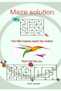 Maze solution