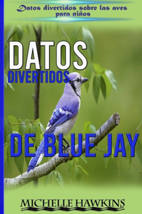 Datos Divertidos De Blue Jay