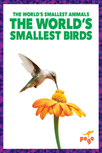 World's Smallest Birds