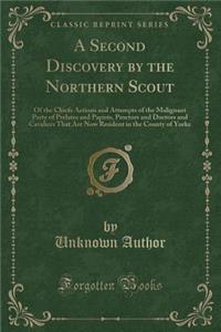 A Second Discovery by the Northern Scout