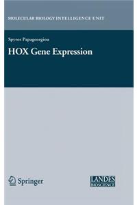 HOX Gene Expression